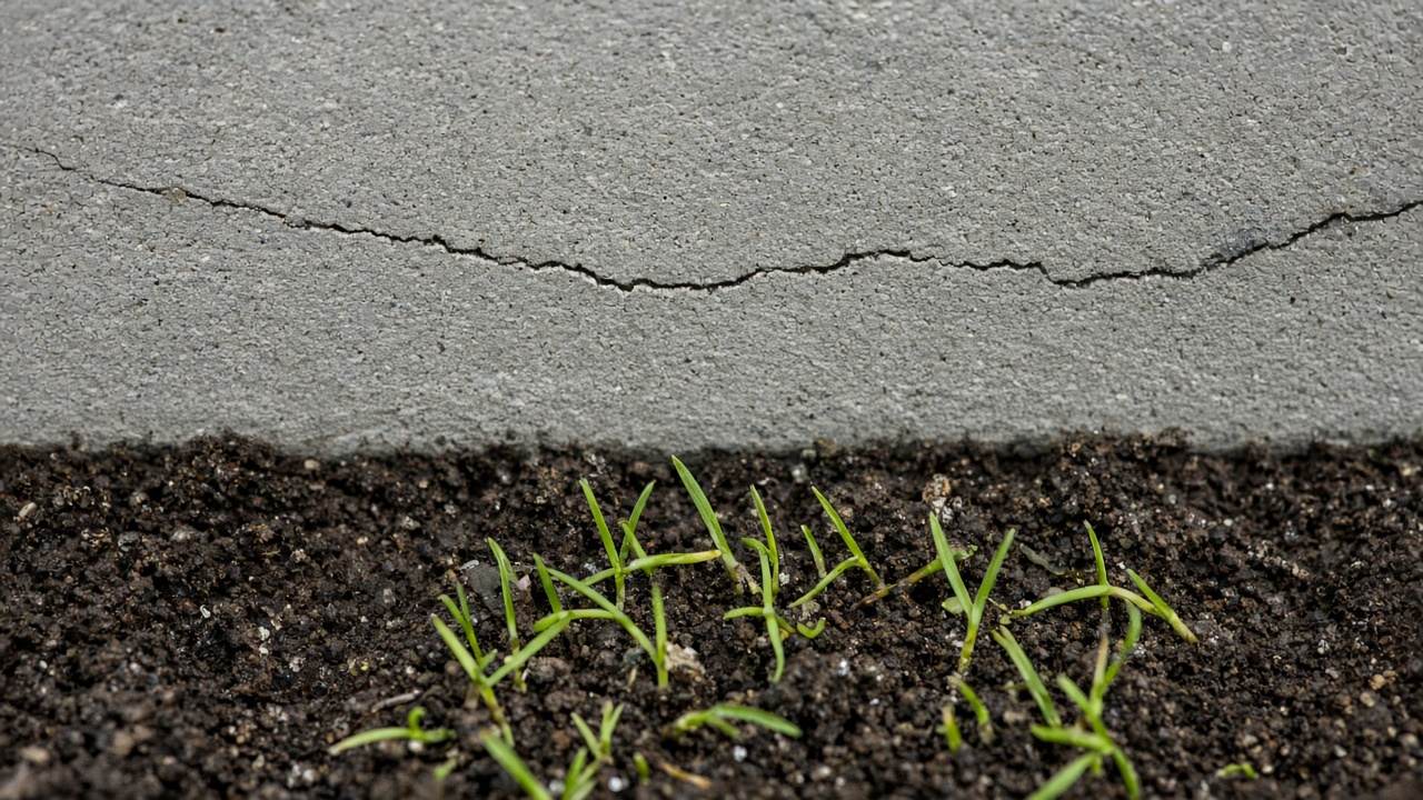 Трещина в бетонном цоколе над влажной землёй с молодой травой